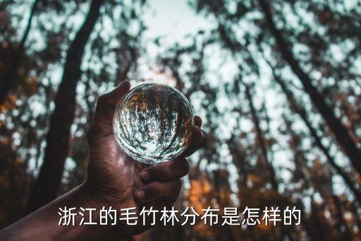 毛竹林，浙江的毛竹林分布是怎樣的