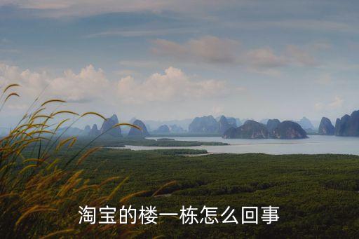 樓一棟，淘寶的樓一幢誰開發(fā)的