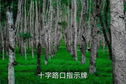 十字交叉路口標(biāo)志，十字路口指示牌