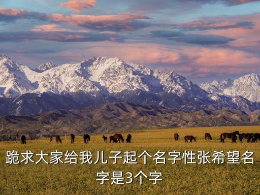 跪求大家給我兒子起個名字性張希望名字是3個字
