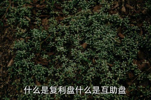 什么是復(fù)利盤什么是互助盤