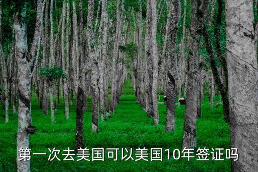 第一次去美國(guó)可以美國(guó)10年簽證嗎