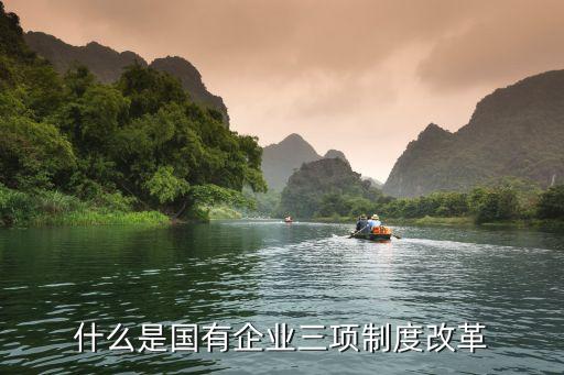 三項改革，什么是糧食相關(guān)的三項政策一項改革具體指什么