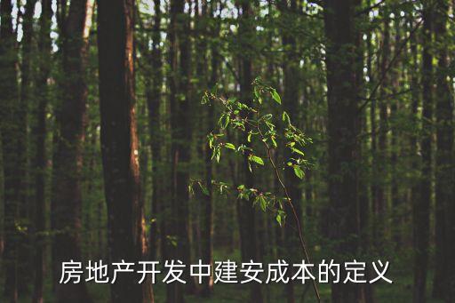 房地產(chǎn)開發(fā)中建安成本的定義