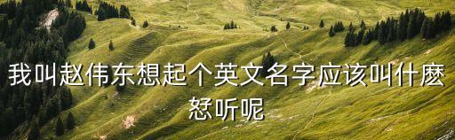 我叫趙偉東想起個(gè)英文名字應(yīng)該叫什麼恏聽呢