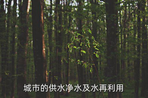 城鎮(zhèn)供水，城市的供水凈水及水再利用