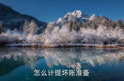 怎么計提壞賬準備