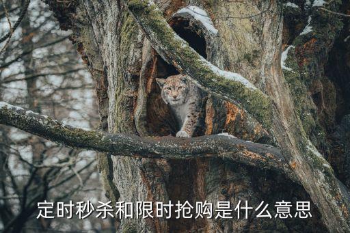 定時秒殺和限時搶購是什么意思