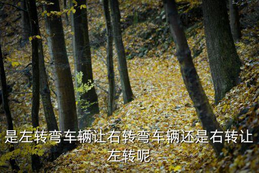 左轉彎讓右轉彎還是右轉讓左轉，交通規(guī)則是左轉讓右轉還是右轉讓左轉