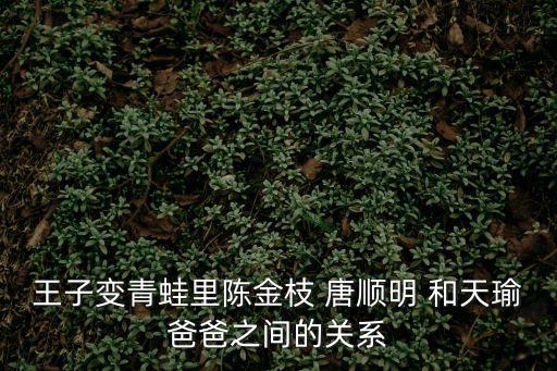 王子變青蛙里陳金枝 唐順明 和天瑜爸爸之間的關(guān)系