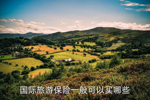 國際旅游保險(xiǎn)一般可以買哪些
