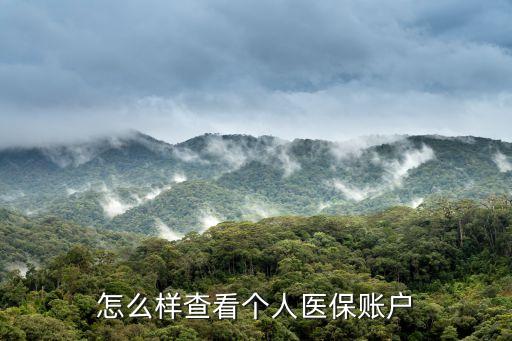 怎么樣查看個人醫(yī)保賬戶