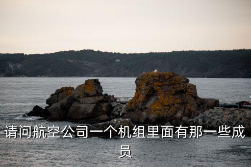 機組成員，馬航機組成員有哪些