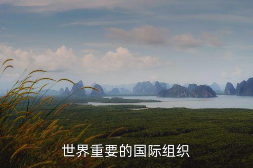 世界重要的國際組織