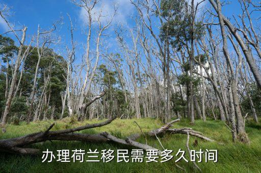 辦理荷蘭移民需要多久時(shí)間