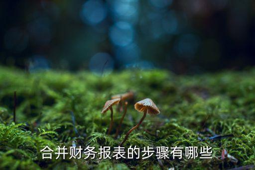 合并財務報表，合并財務報表的步驟有哪些