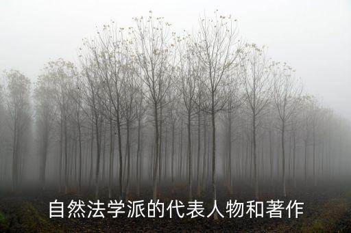 自然法學(xué)派，什么是新自然法學(xué)派