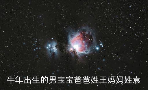 牛年出生的男寶寶爸爸姓王媽媽姓袁