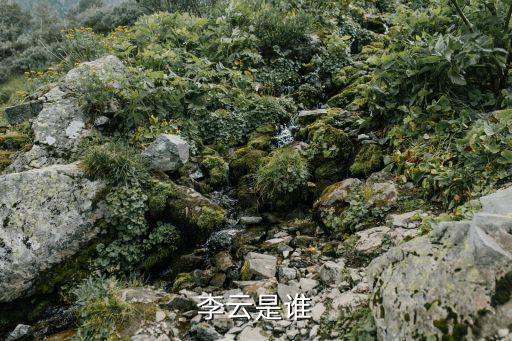 李云，李云的資料