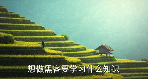 想做黑客要學習什么知識