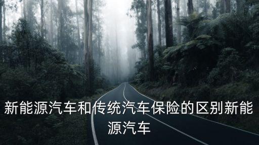 新能源汽車保費，電動轎車有保險嗎 純電動轎車有保險嗎