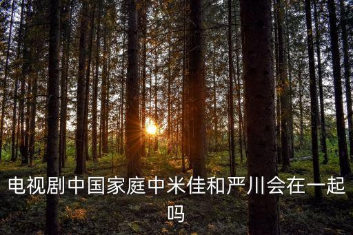 電視劇中國家庭中米佳和嚴(yán)川會(huì)在一起嗎