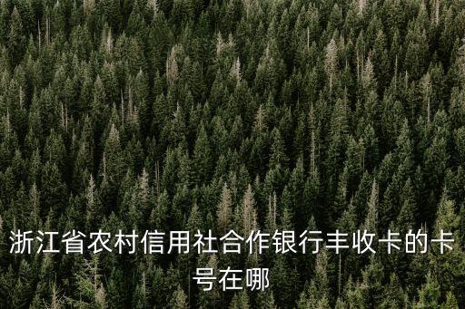 623091，杭州聯(lián)合銀行622858開(kāi)頭的跟623091開(kāi)頭的有什么區(qū)別