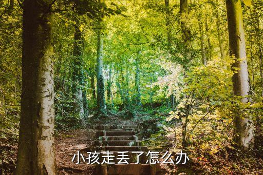 小孩走丟了怎么辦