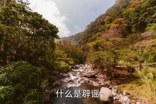 什么是辟謠