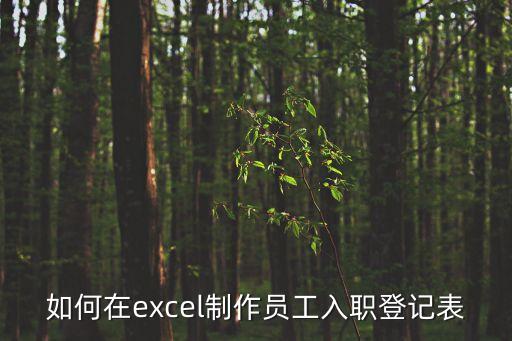 如何在excel制作員工入職登記表