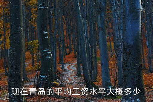 現(xiàn)在青島的平均工資水平大概多少