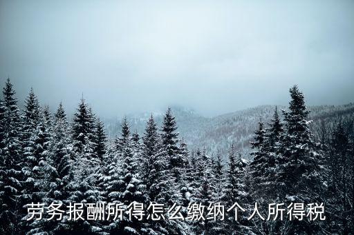勞務(wù)報酬所得怎么繳納個人所得稅