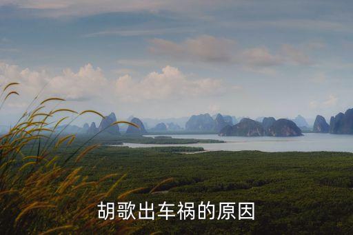 胡歌出車禍的原因