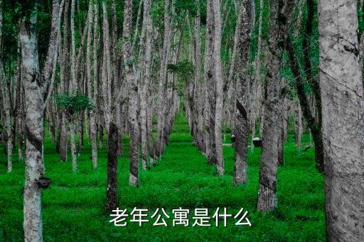 老年公寓是什么