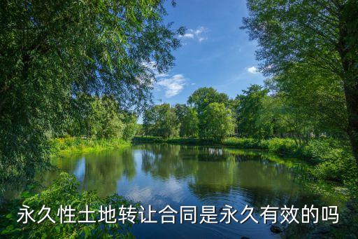 土地永久性轉(zhuǎn)讓合同，土地轉(zhuǎn)讓合同