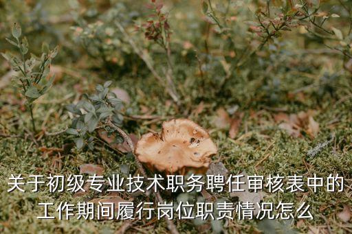 關(guān)于初級專業(yè)技術(shù)職務聘任審核表中的工作期間履行崗位職責情況怎么