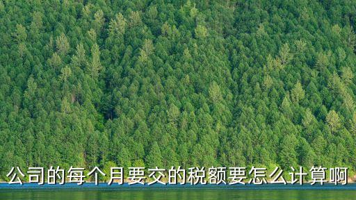 公司的每個月要交的稅額要怎么計算啊