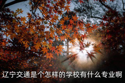 遼寧交通，遼寧交通是個怎樣的學校有什么專業(yè)啊