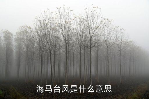 臺風海馬，臺風海馬有多大