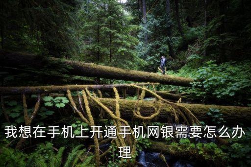 手機開戶，手機證券開戶流程