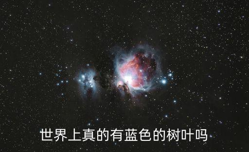 世界上真的有藍(lán)色的樹葉嗎
