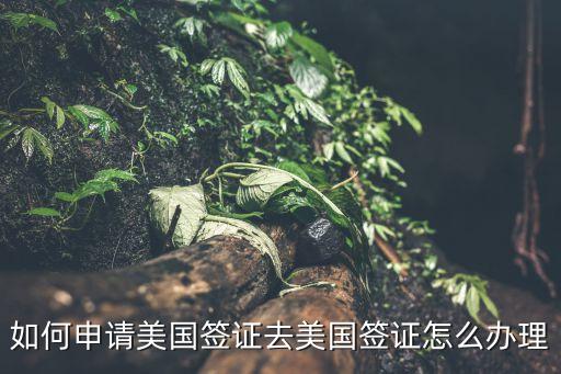申請美國簽證，怎樣辦理美國旅游簽證