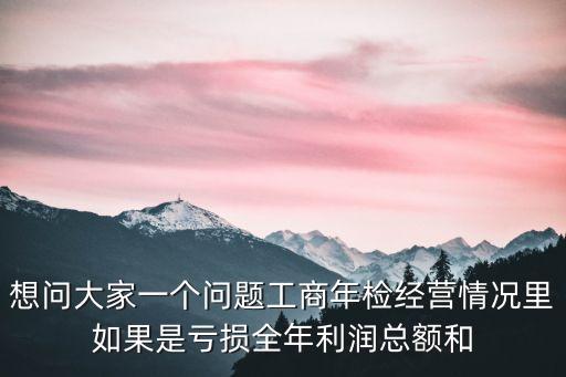 虧損總額，想問大家一個(gè)問題工商年檢經(jīng)營情況里如果是虧損全年利潤總額和