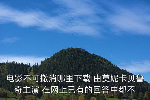 電影不可撤消哪里下載 由莫妮卡貝魯奇主演 在網(wǎng)上已有的回答中都不