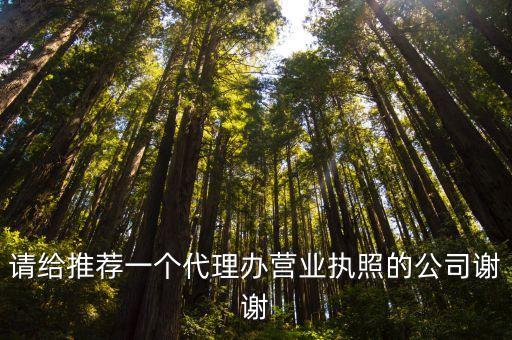 代辦代理公司，幫忙推薦個專業(yè)代理注冊公司謝謝