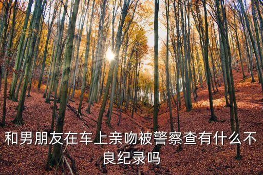 在車上親嘴，和男朋友在車上親吻被警察查有什么不良紀(jì)錄嗎
