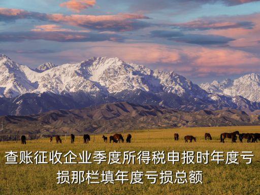 查賬征收企業(yè)季度所得稅申報時年度虧損那欄填年度虧損總額