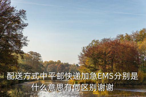 配送方式中平郵快遞加急EMS分別是什么意思有何區(qū)別謝謝
