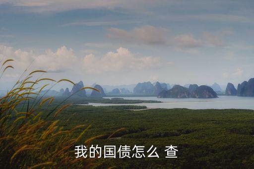 我的國債怎么 查