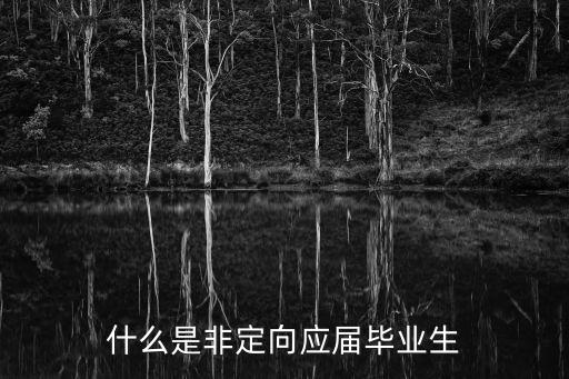 什么是非定向應屆畢業(yè)生